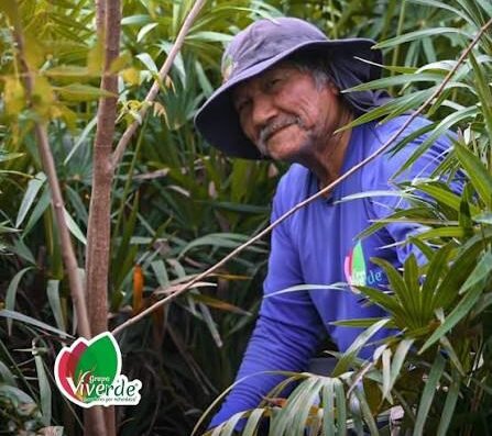 Grupo Viverde